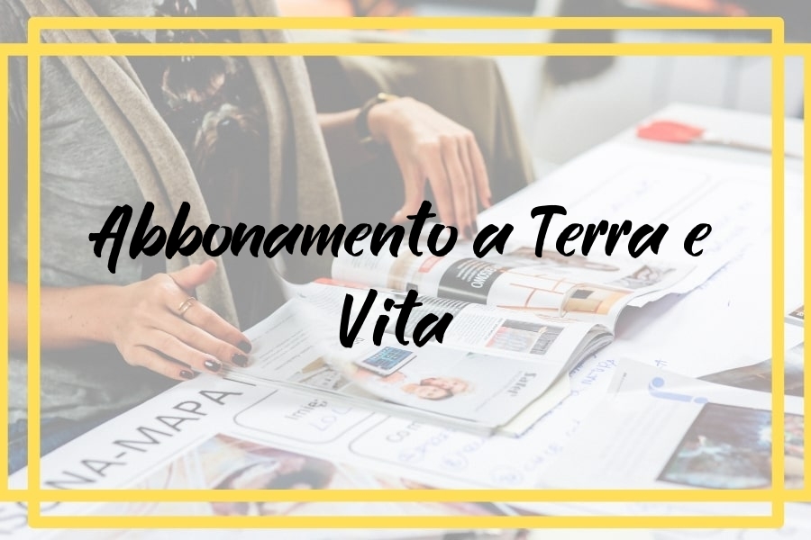 Abbonamento a Terra é Vita  in offerta